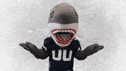 American Football GIF by Steelsharks