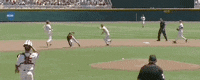 Nc State Baseball GIF by NCAA Championships