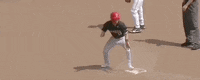 Nc State Baseball GIF by NCAA Championships
