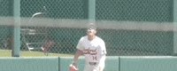 Nc State Baseball GIF by NCAA Championships