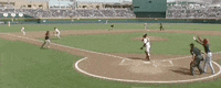 Nc State Baseball GIF by NCAA Championships