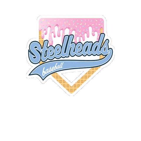 AllAmericanBaseball giphyupload allamericanbaseball allamericansteelheads coachcharlie Sticker