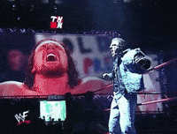 triple h wrestling GIF by WWE