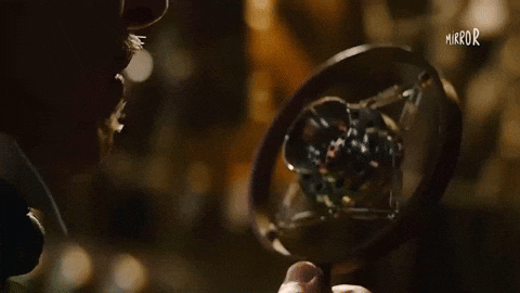 The Wizard Of Oz GIF by Mirror