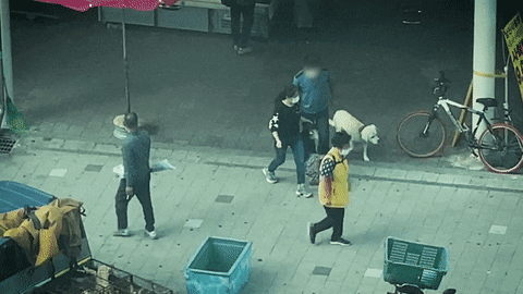 cuteanimalland giphyupload GIF