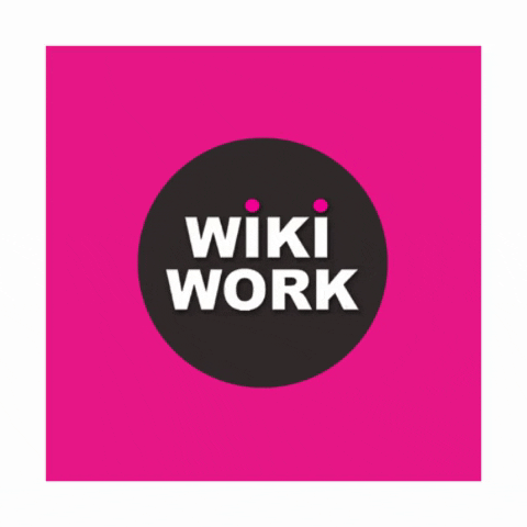 Wikiwork work job vacature alphen GIF