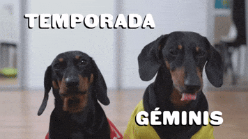 Temporada Géminis