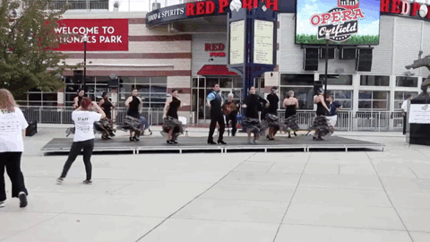 #operaandtheoutfield #opera #nationalspark GIF by The Kennedy Center