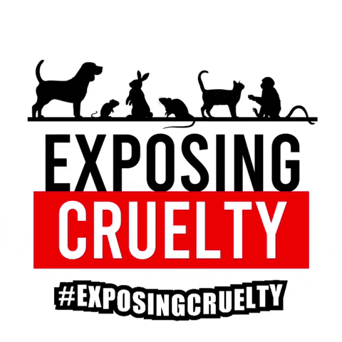 exposingcruelty cruelty exposing endanimaltesting exposingcruelty GIF