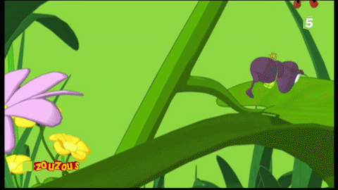 Animated GIF
