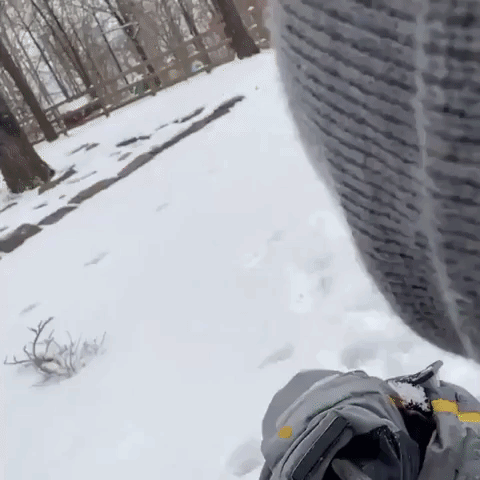 Son Gets a Mouthful of Snow in Sledding Slip-up