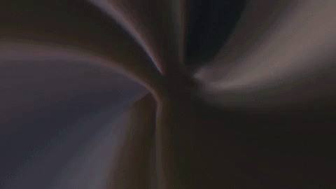 South Carolina GIF by Gamecock Student Tickets