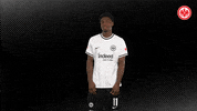 Sge Come GIF by Eintracht Frankfurt