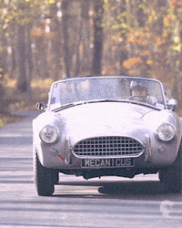 Driving Ford GIF by Mecanicus