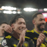Happy Well Done GIF by Manchester United