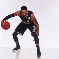 tigers_tuebingen  GIF