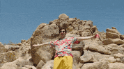 Andy Samberg Hulu Originals GIF by HULU