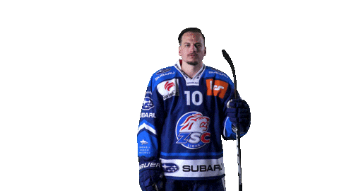 Andrighetto Sticker by ZSC Lions