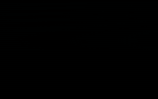 Wiz Khalifa GIF by Taylor Gang