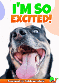 PetJuvenate petjuvenate henlo hooman fren love rescue dogs treatos and woofer for pupper GIF