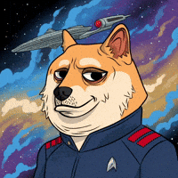 Star Trek Wow GIF by Doge Pound