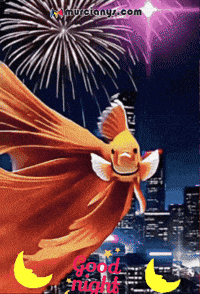 Good Night Amigos GIF by Murcianys LLC