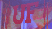 University Of Florida Uf GIF by University of Florida College of Education