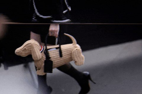 saabrinapessoa giphygifmaker GIF