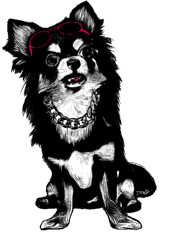 Kai Sticker