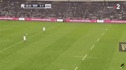 SirPinguton giphyupload GIF