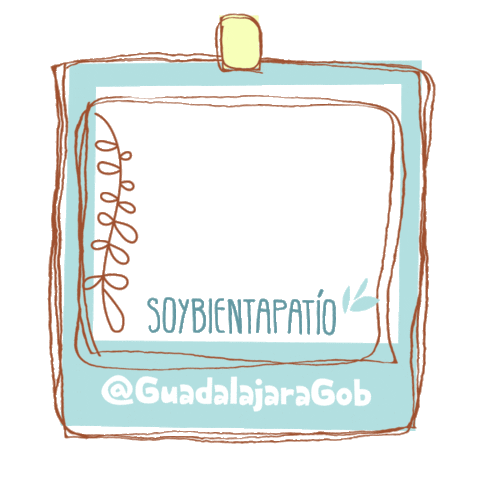 Gobierno-de-Guadalajara giphyupload blue azul polaroid Sticker