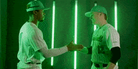 Baseball Ball GIF by Marshall University Athletics