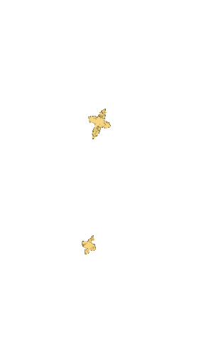 Yellow Star Sticker by Jordan Kay