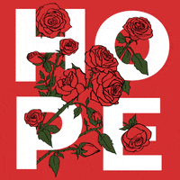 whoishussain hope whoishussain GIF
