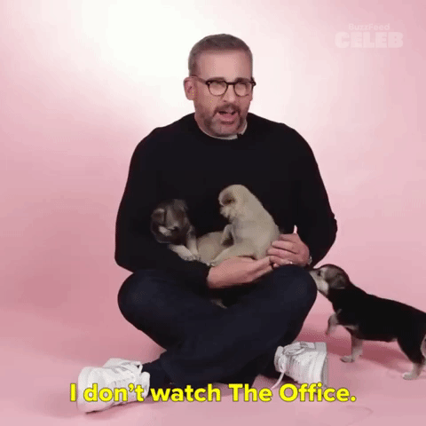 I Don't Watch The Office