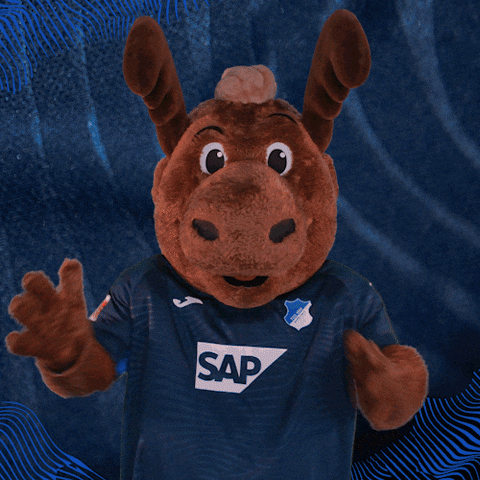Sport Bundesliga GIF by TSG Hoffenheim