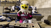 I Guess Baby Bird GIF by The Hubbard Eagle