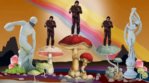 Happy Magic Mushrooms GIF by SUR