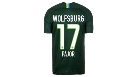 football soccer Sticker by VfL Wolfsburg