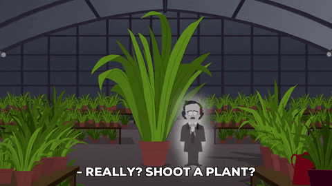 edgar allen poe ghost GIF by South Park 