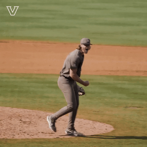 Celebrate College World Series GIF by Vanderbilt Athletics