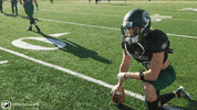 BSUBeavers bemidji state bsubeavers bsubeaversfootball beaver territory GIF