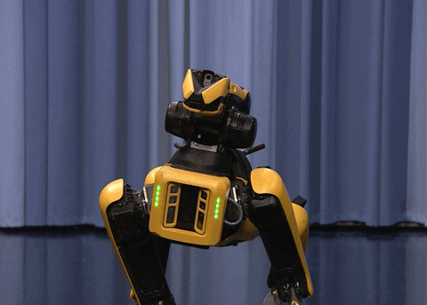 Tonight Show Dance GIF by The Tonight Show Starring Jimmy Fallon