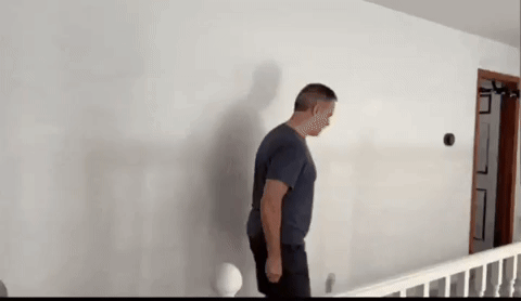 Cellthebadger  GIF
