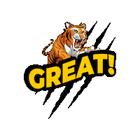 ans_tigers great tigers ans weareans Sticker