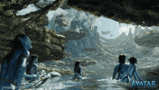 Avatar GIF by 20th Century Studios