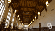 university of oklahoma GIF