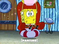 season 4 GIF by SpongeBob SquarePants
