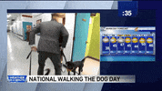 dogs lol GIF by WGN Morning News