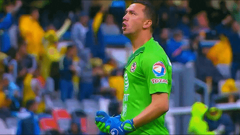 happy liga mx GIF by Club America